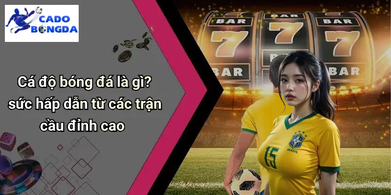 Cá độ bóng đá 67 Cá Độ Bóng Đá