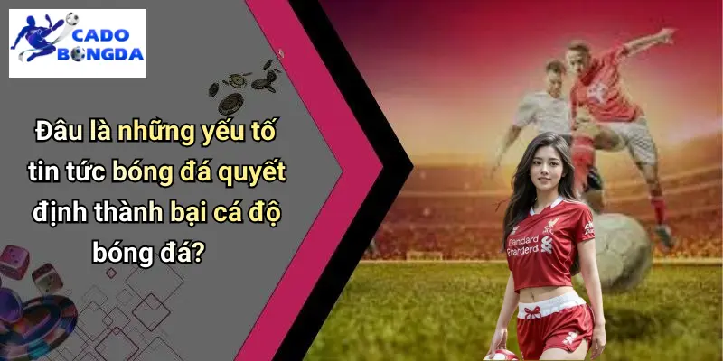 Tin Tức Bóng Đá