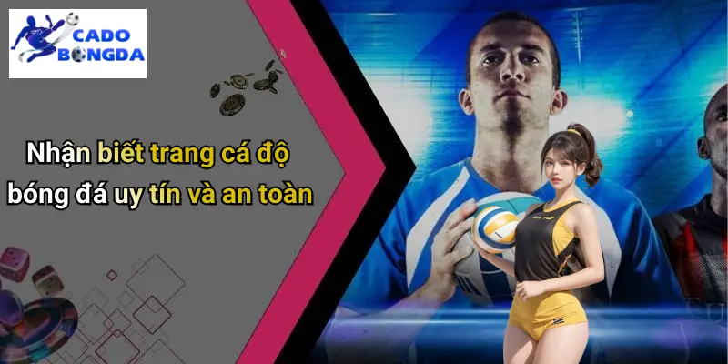 Cá độ bóng đá 68 Cá Độ Bóng Đá