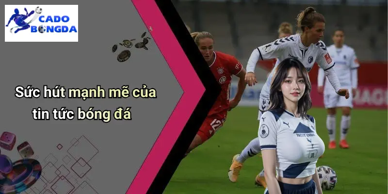 Tin Tức Bóng Đá