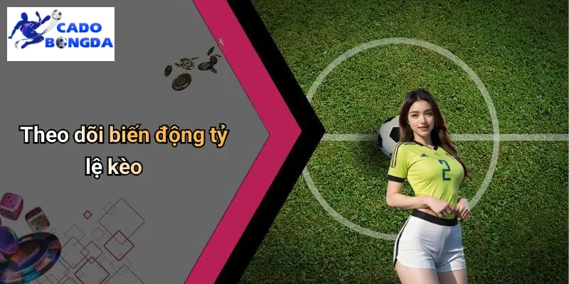 Kèo Chấp 1.5 Trái Là Gì