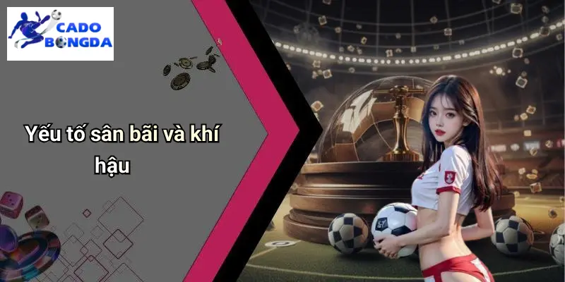 Kèo Chấp 1.5 Trái Là Gì