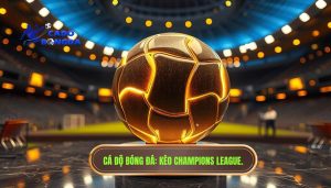 Champions League hôm nay đá lúc mấy giờ