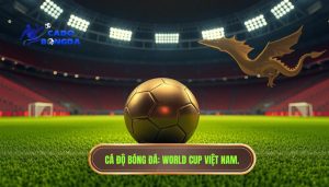Việt Nam có cơ hội dự World Cup không